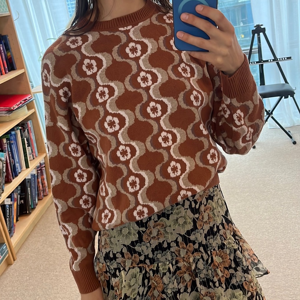 Aritzia crewneck sweater